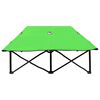 vidaXL Розкладний двомісний шезлонг Зелений Сталь