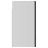 801261 vidaXL Hanging Cabinet Black 50x31x60 cm Chipboard