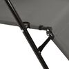vidaXL Розкладні шезлонги з підніжками 2 шт Сірий Сталь
