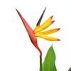 Product Thumbnail Image 2 of 2