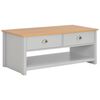 vidaXL Журнальний столик Сірий 100x50x42 см