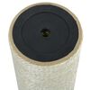 170569 vidaXL Cat Scratching Post 8x55 cm 8 mm Beige