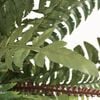 Product Thumbnail Image 2 of 2