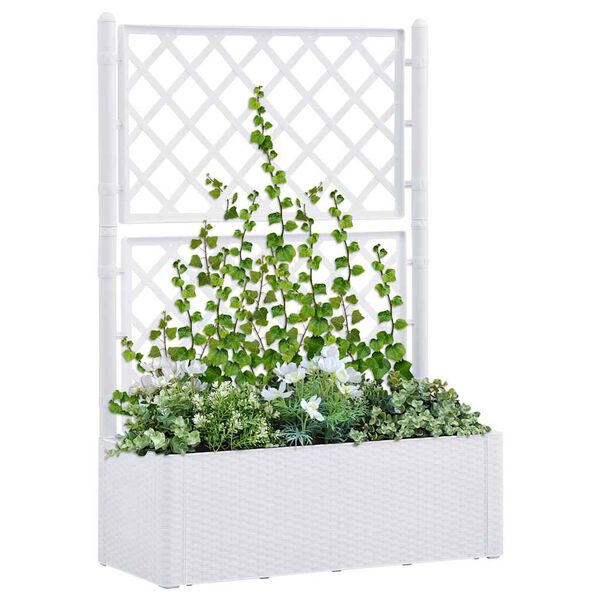 Showing Product Image 2 of 8