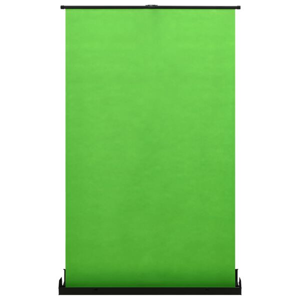 vidaXL Фотографічний Фон Зелений 95 "4:3