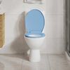 145823 vidaXL Soft-Close Toilet Seat Quick Release Blue Oval