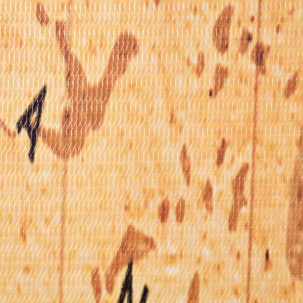 vidaXL Розкладна Кімнатна Перегородка Принт Карта Світу 228x170 см