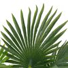 Product Thumbnail Image 2 of 2