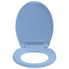 145823 vidaXL Soft-Close Toilet Seat Quick Release Blue Oval