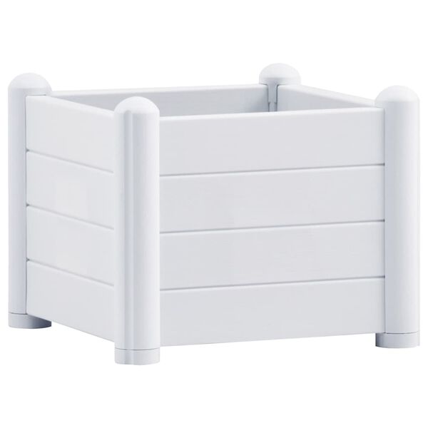Showing Product Image 1 of 6
