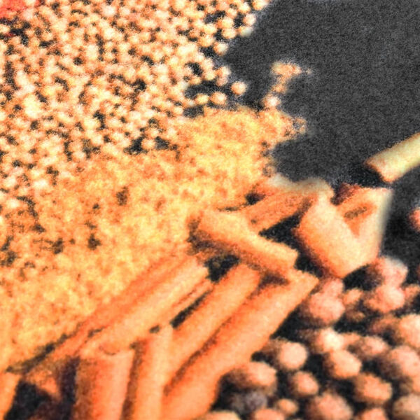 vidaXL Кухонний Килимок "Spice" 45x150 см Переться