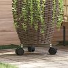 Product Thumbnail Image 2 of 6