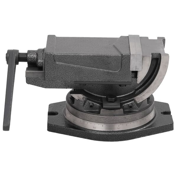 vidaXL Синусні Тиски 2-Осні 100 мм