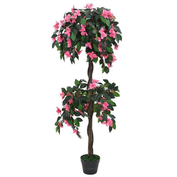 Showing Product Image 1 of 2