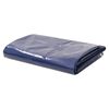 vidaXL Tarpaulin Синій 650 г/м&sup2; 5х6 м