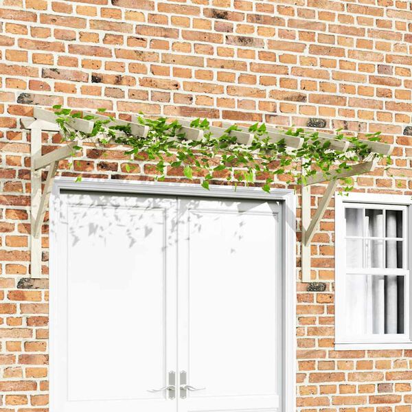 vidaXL Дверний навіс 200х100х160 см Масив сосни