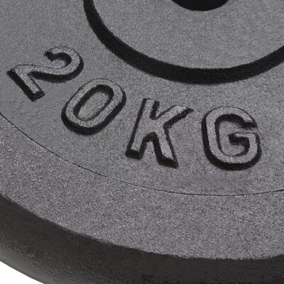 vidaXL Диски для Штанги/Гантелей 2 шт 2х20 кг Чавун
