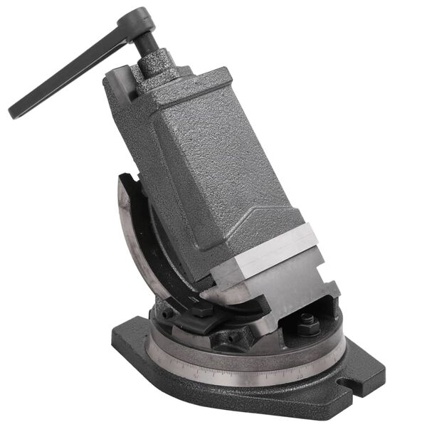 vidaXL Синусні Тиски 2-Осні 100 мм