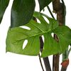 Product Thumbnail Image 2 of 2