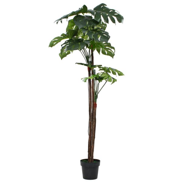 Showing Product Image 1 of 2
