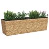 Product Thumbnail Image 3 of 19