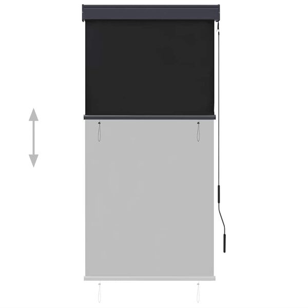 vidaXL Зовнішня Рулонна Штора Антрацит 80x250 см