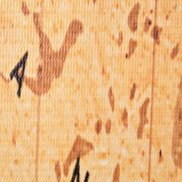 vidaXL Розкладна Кімнатна Перегородка Принт Карта Світу 120x170 см