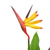 Product Thumbnail Image 2 of 2