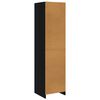 800235 vidaXL Wardrobe Black 50x50x200 cm Chipboard